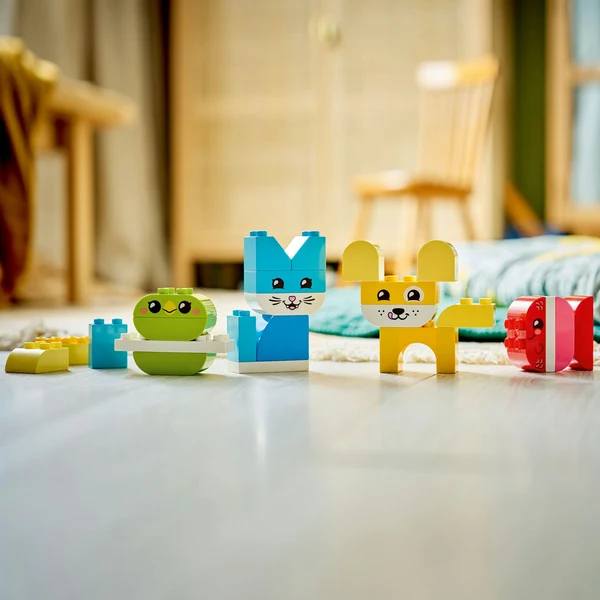 10913 DUPLO Brick Box