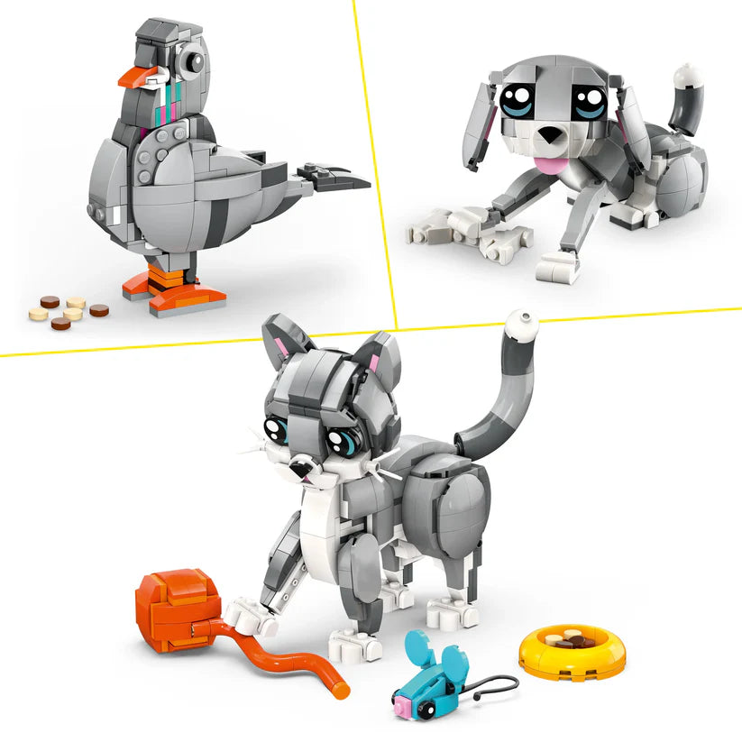 31163 Playful Cat