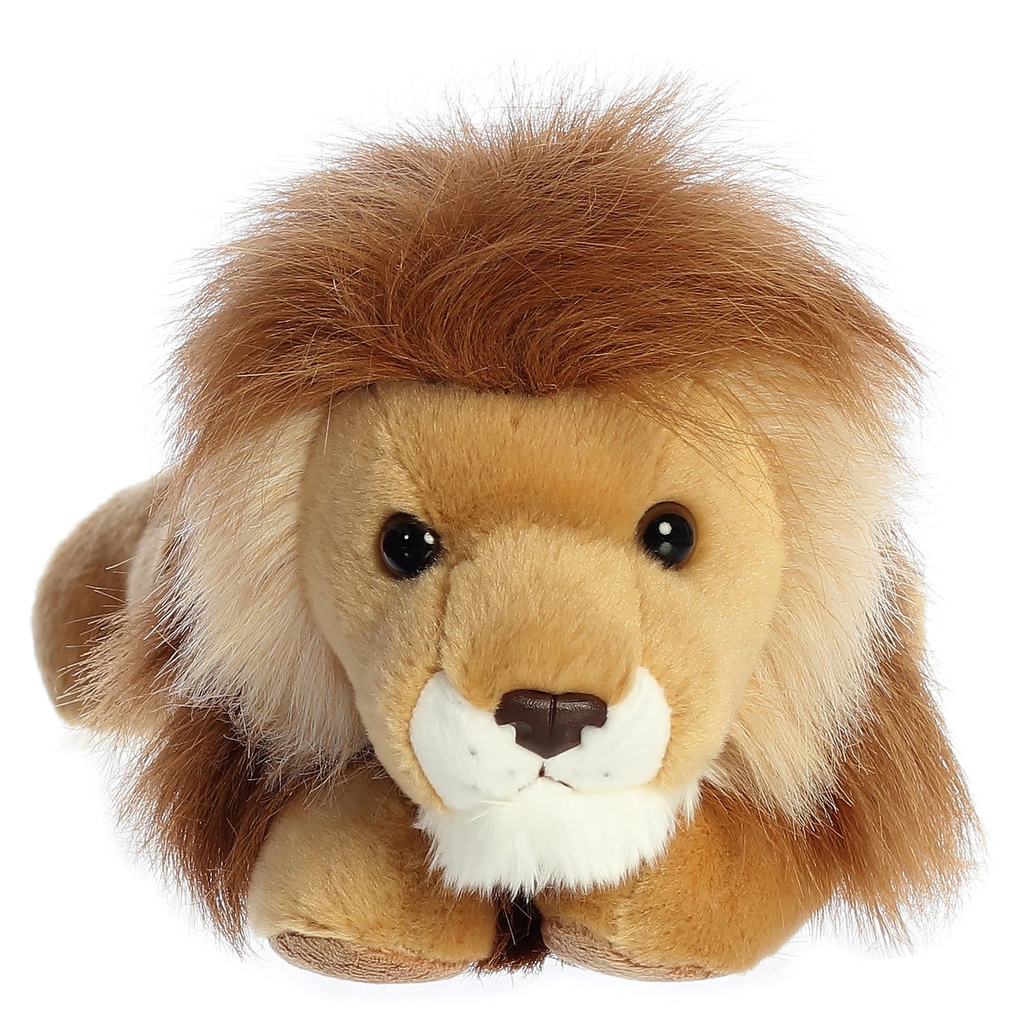 Leonardus Lion