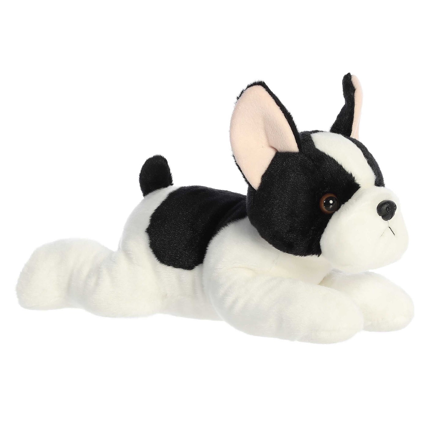 French Bulldog Pup