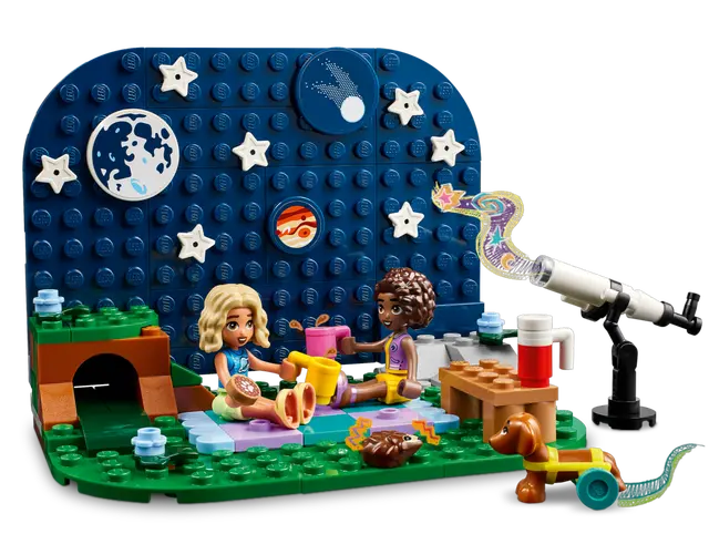 42603 Stargazing Camping Vehicle
