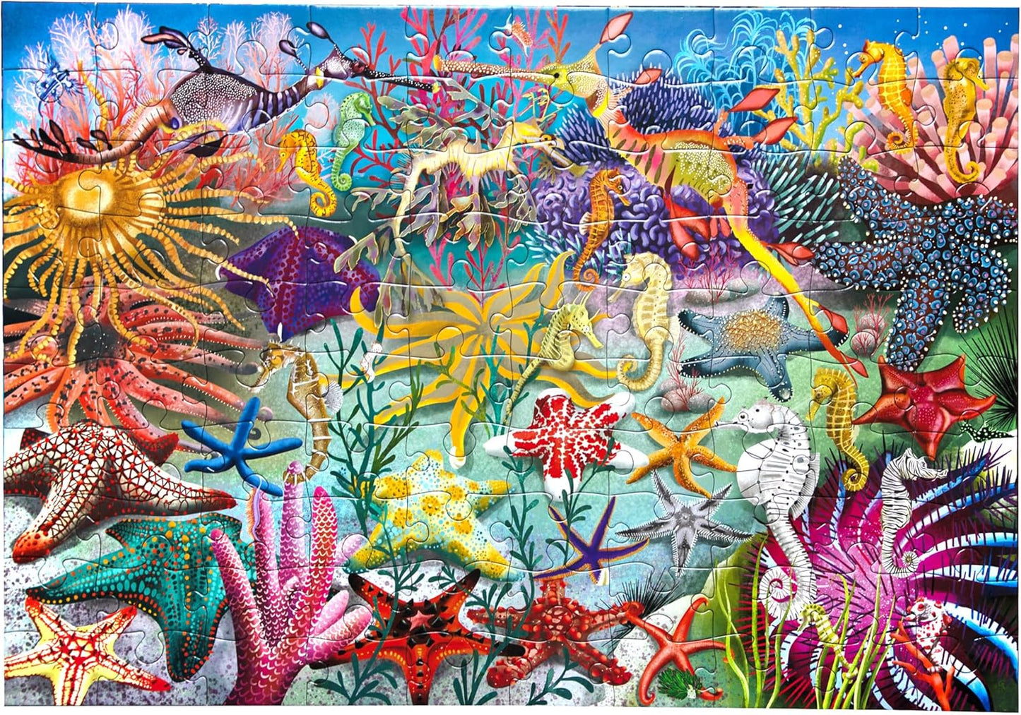 Seahorses, Sea Stars & Sea Slugs 100 Pc Puzzle