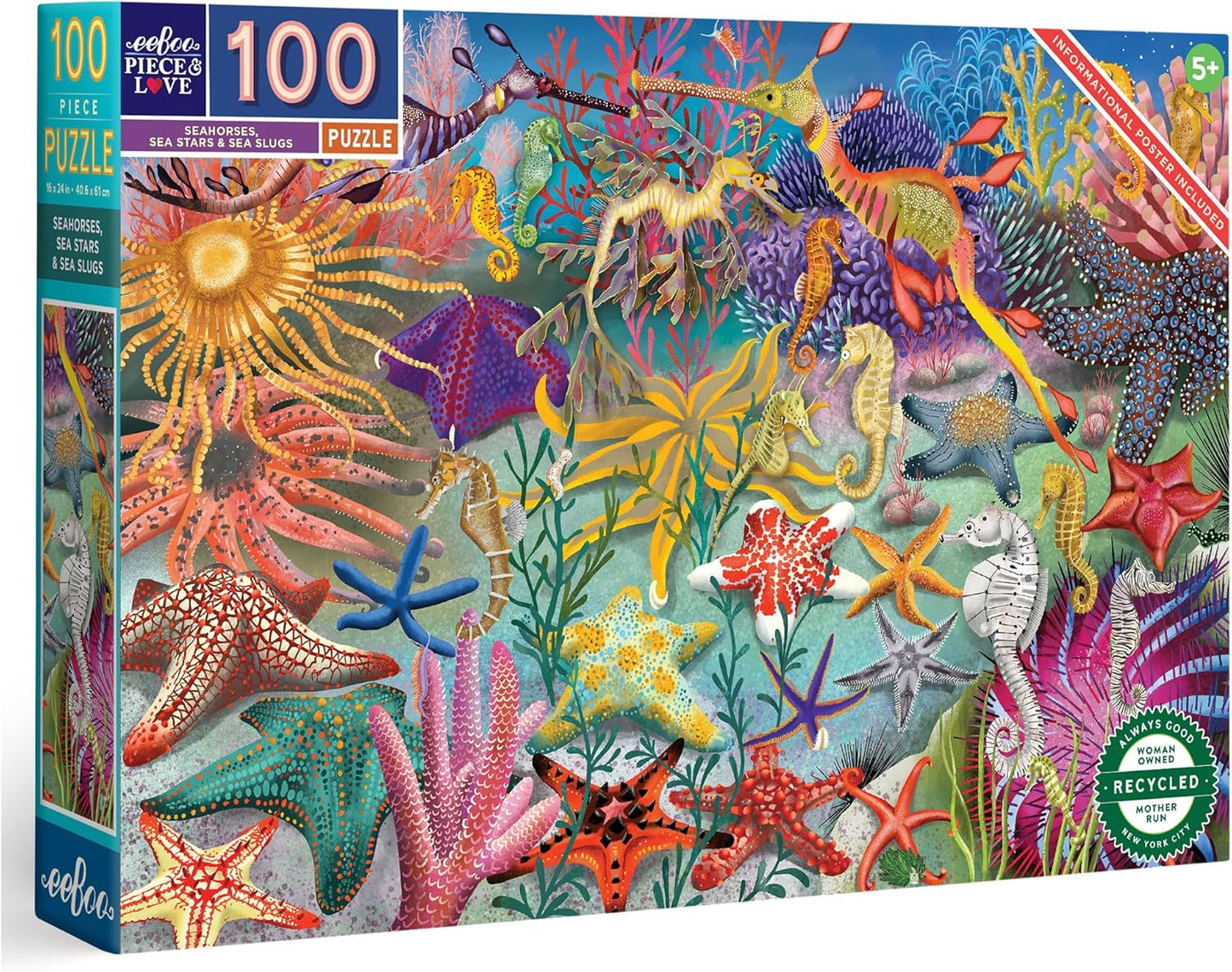 Seahorses, Sea Stars & Sea Slugs 100 Pc Puzzle