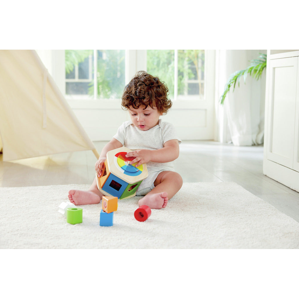Wooden Wonder Shape Sorter