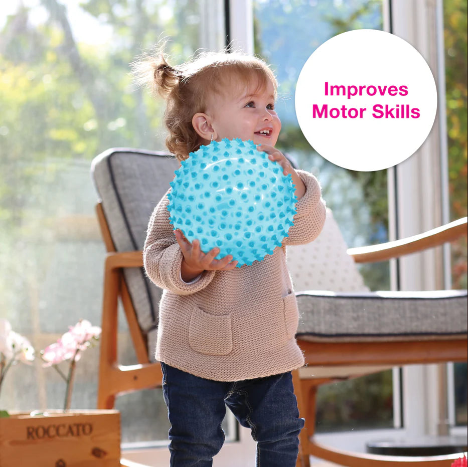 The Original Sensory Ball