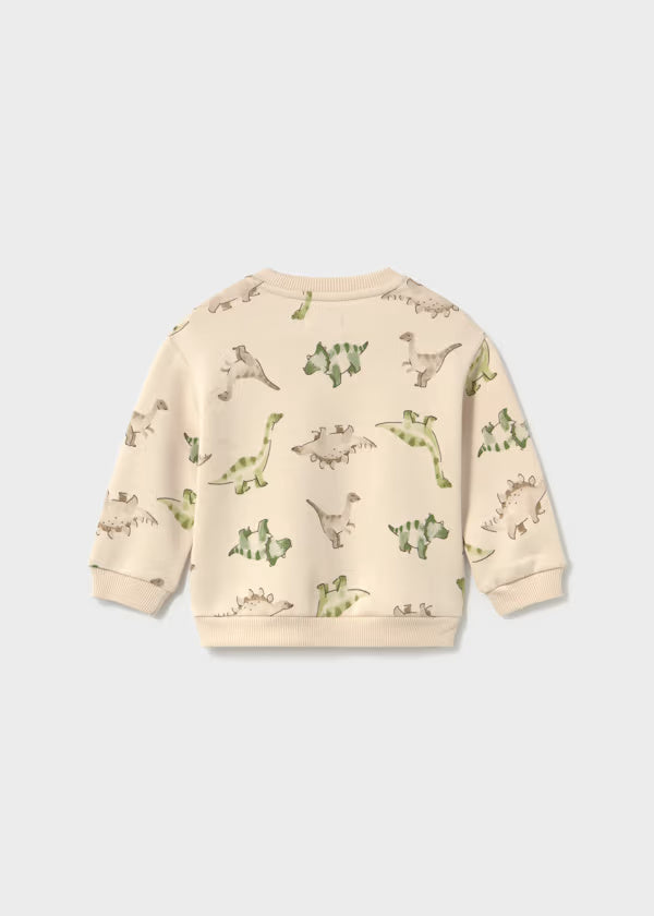 2416 Patterned Pullover