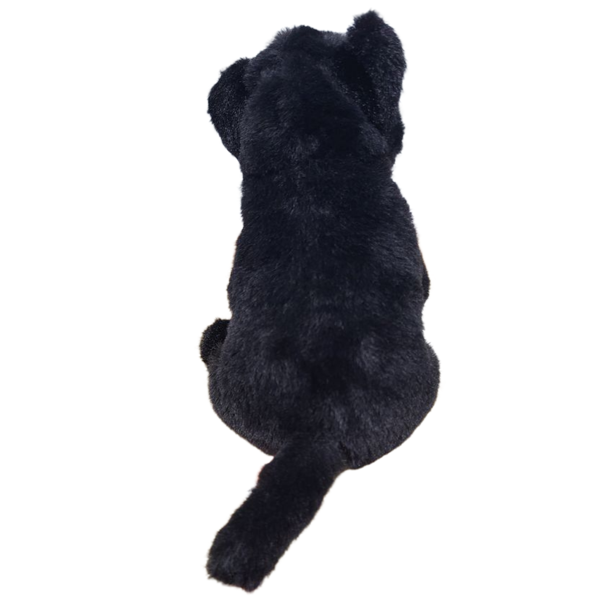 Canned Tuxedo - Rescue Cat - Eco-Friendly and Recycled