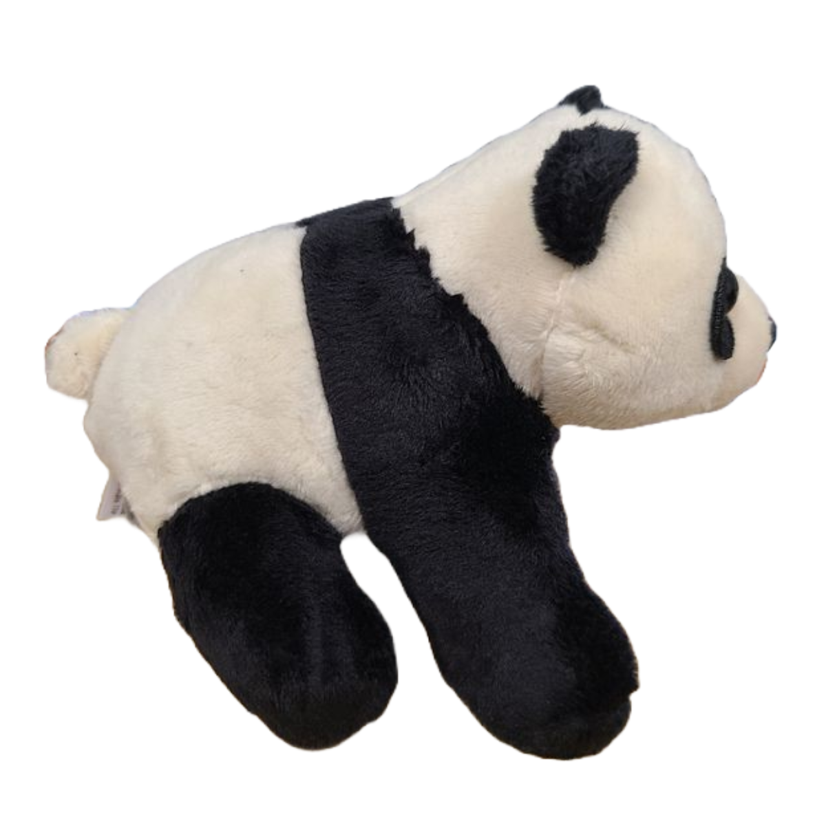 Canned Panda | Stuffed Animal Zoo Plush | Funny Jokes