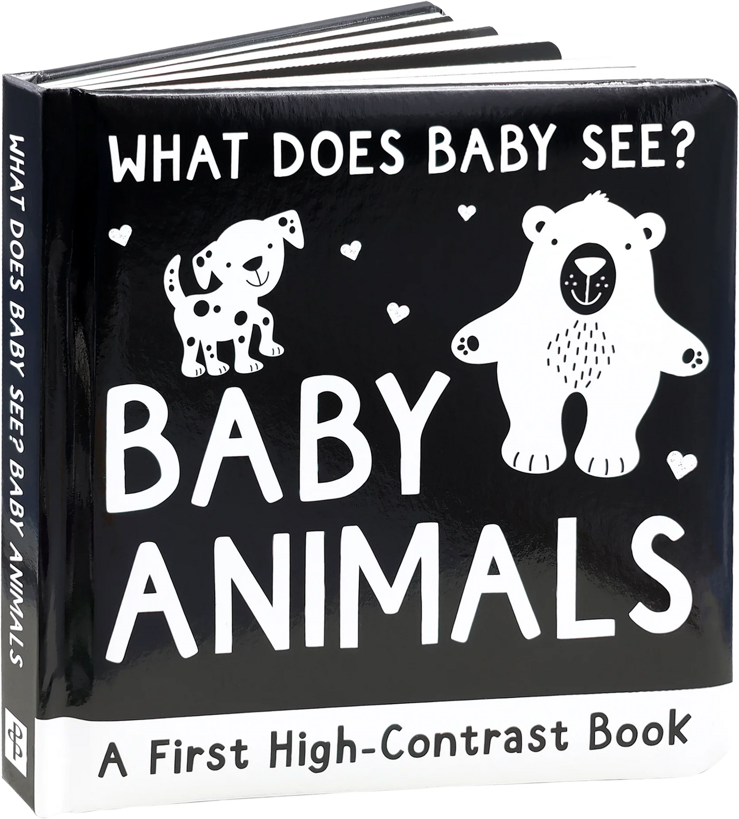 What Does Baby See