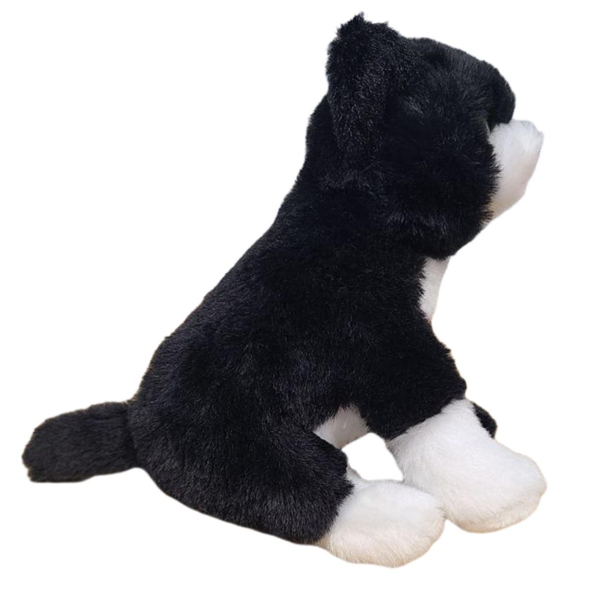 Canned Tuxedo - Rescue Cat - Eco-Friendly and Recycled