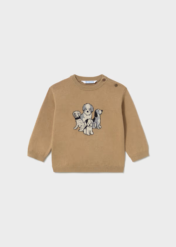 2372 Cookie Jumper