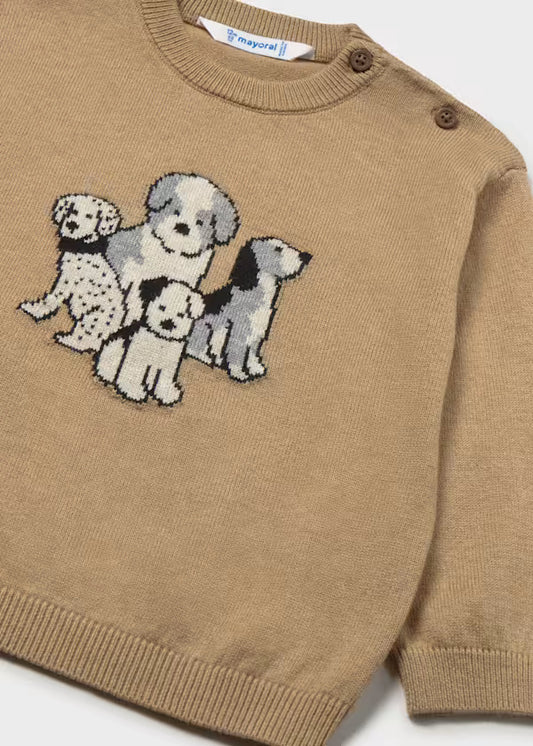 2372 Cookie Jumper