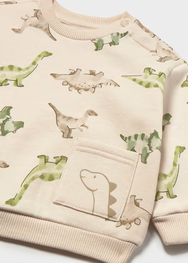 2416 Patterned Pullover