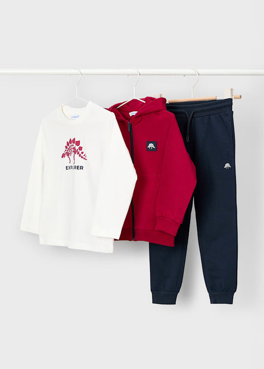 4806 Dino Hoodie/Pants SET