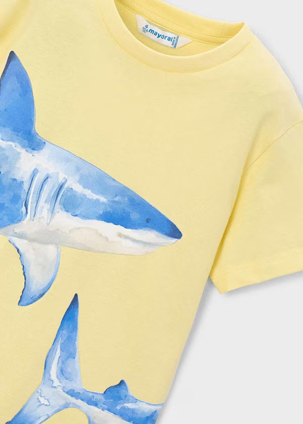 3080 Shark Tee Shirt