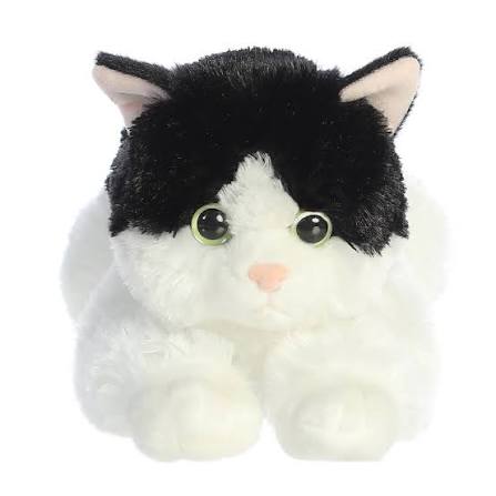 Oreo Cat