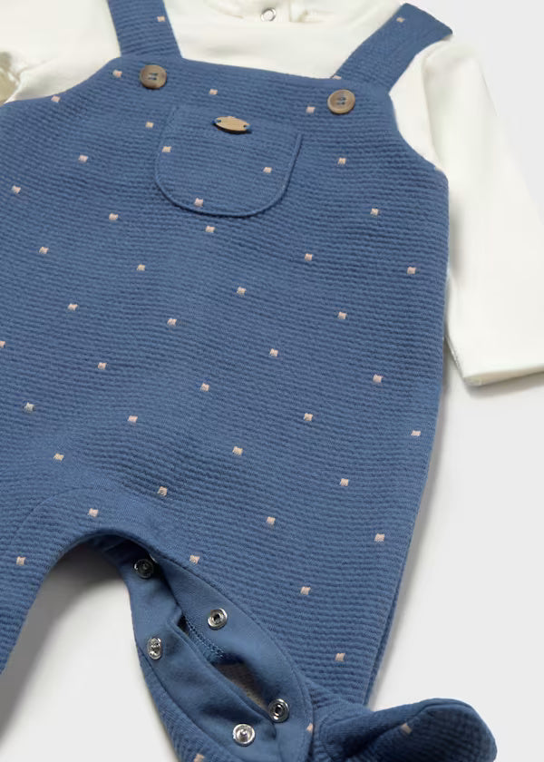 2658 Blueberry Onesie