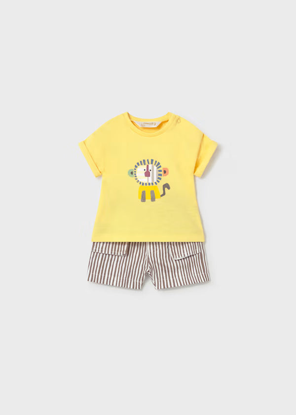 1284 Lion SET
